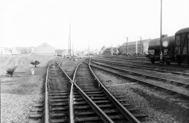 Z39269 - Sint-Niklaas - collection Raymond Heymans.jpg